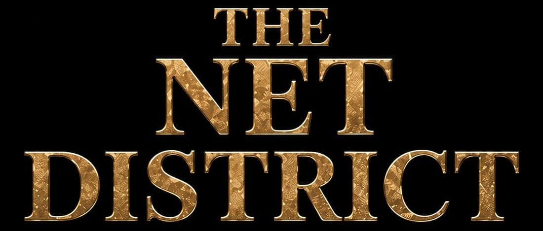 The Net District logo